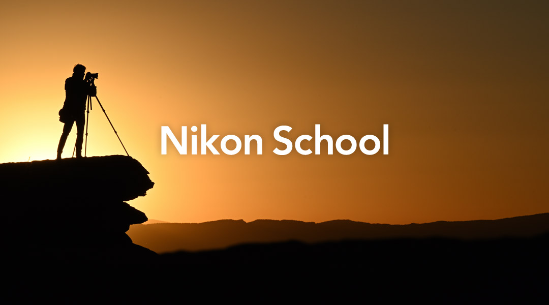 (c) Nikonschool.it