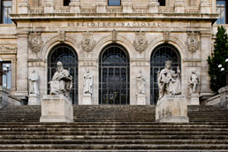 Ingrandisci l'immagine