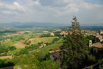 Ingrandisci