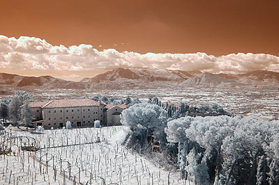 Ingrandisci