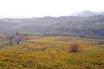 Ingrandisci l'immagine