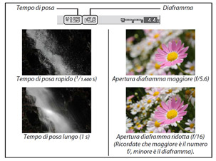 Ingrandisci l'immagine