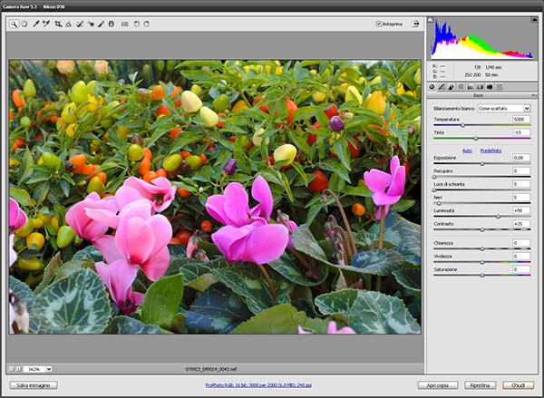 Schermata Adobe Camera Raw