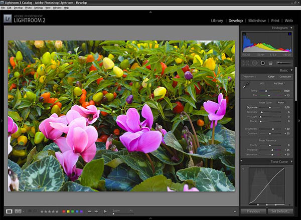 Ingrandisci la schermata Adobe Lightroom