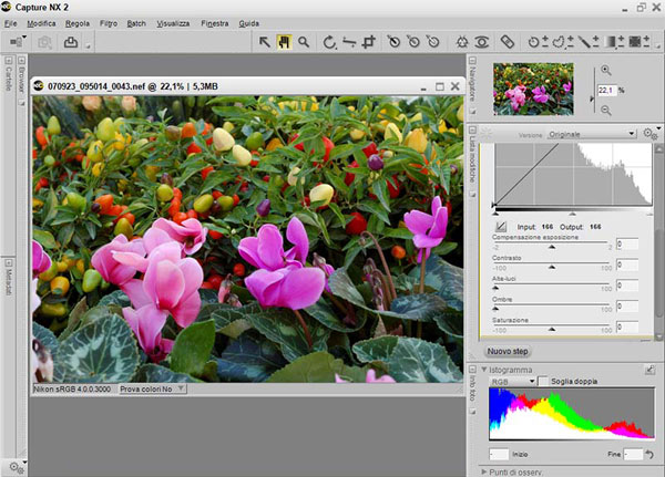 Ingrandisci la schermata di Capture NX2