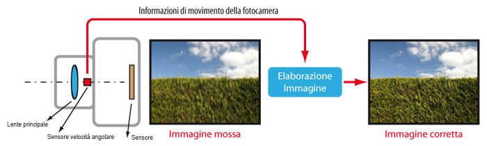 Ingrandisci l'immagine