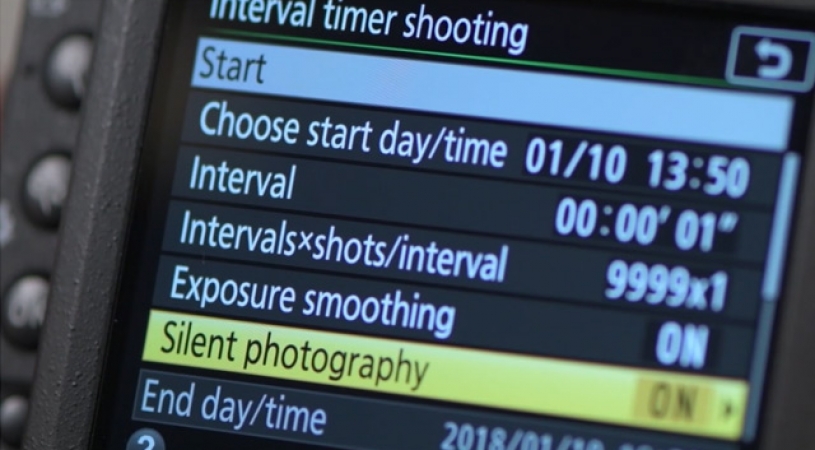 Training D850 [Time-Lapse 8K]