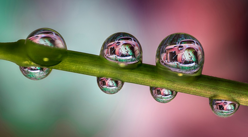 'The Beauty of Rust' | AF-S DX Micro NIKKOR 40mm f/2.8G | Macro Lens Masterclass