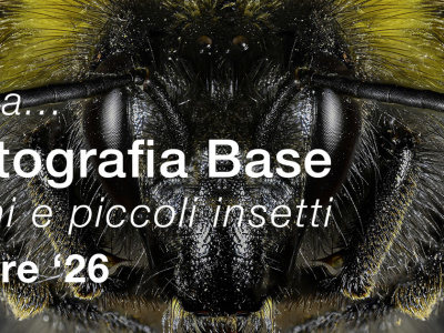 Macrofotografia Base