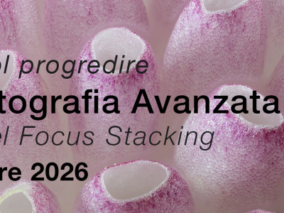 Macro Avanzata E Focus Stacking
