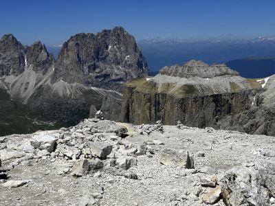 Dolomiti, Fioriture Alpine