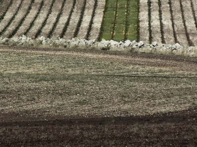 Il Paesaggio Reale