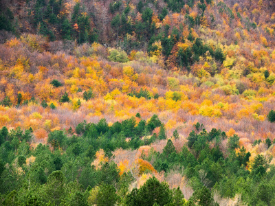 Autunno Al Parco