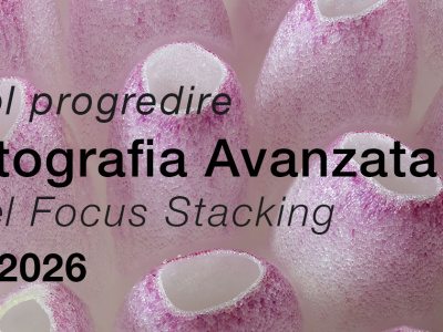 Macrofotografia Avanzata