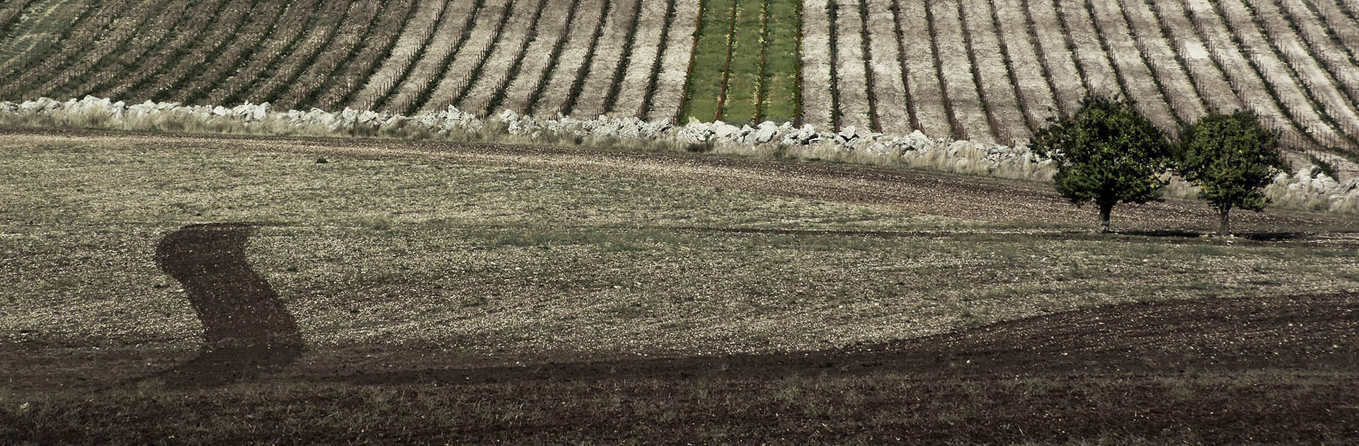 Il Paesaggio Reale