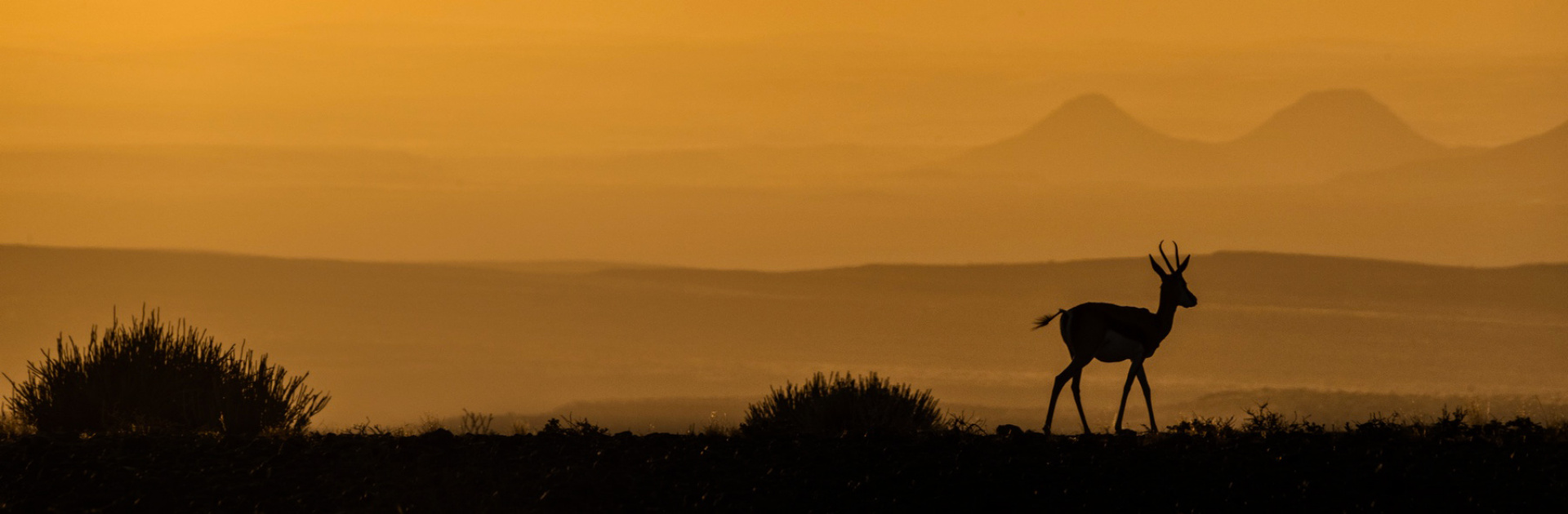 Corso Di Composizione E Fotografia Di Viaggio