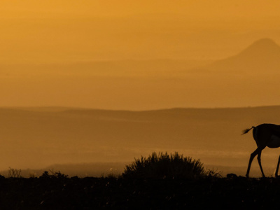 Corso Di Composizione E Fotografia Di Viaggio